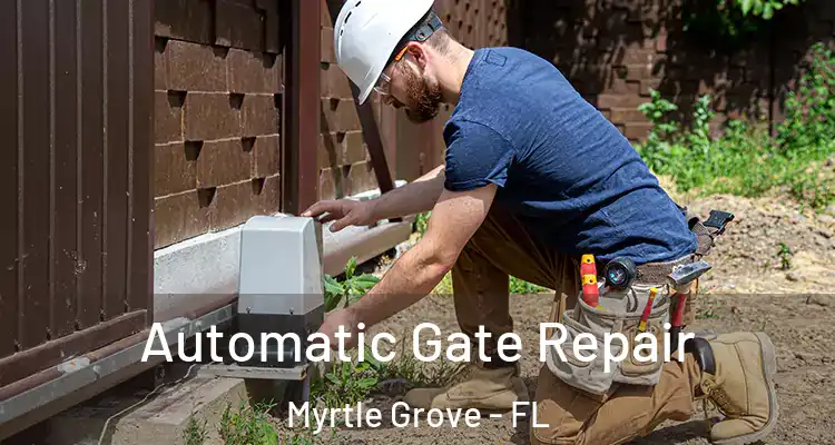Automatic Gate Repair Myrtle Grove - FL