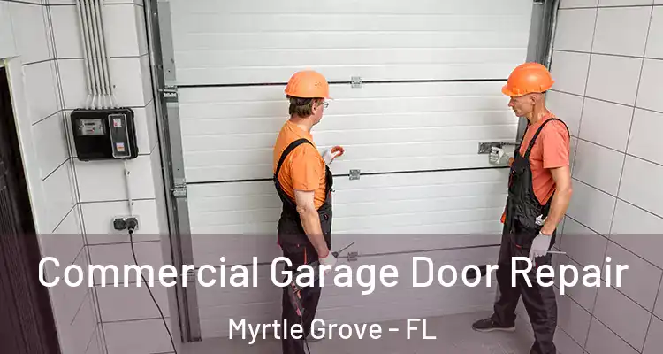 Commercial Garage Door Repair Myrtle Grove - FL