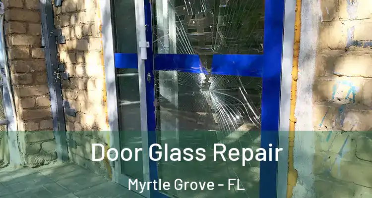 Door Glass Repair Myrtle Grove - FL