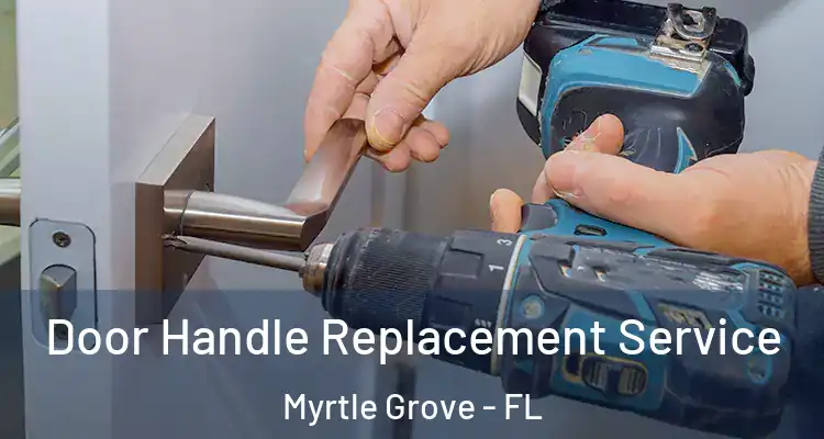 Door Handle Replacement Service Myrtle Grove - FL