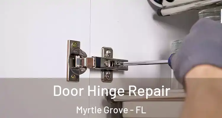 Door Hinge Repair Myrtle Grove - FL