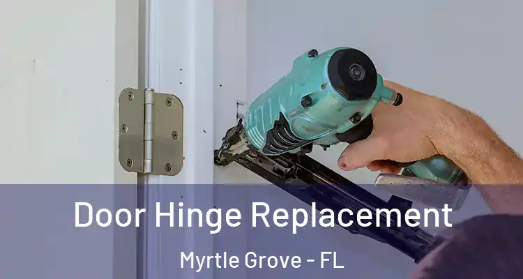Door Hinge Replacement Myrtle Grove - FL