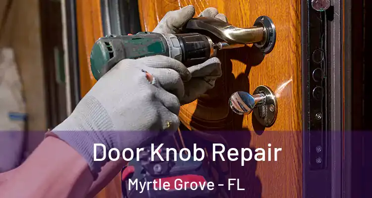 Door Knob Repair Myrtle Grove - FL