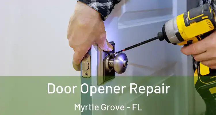Door Opener Repair Myrtle Grove - FL