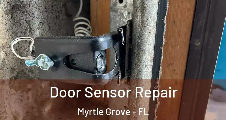 Door Sensor Repair Myrtle Grove - FL