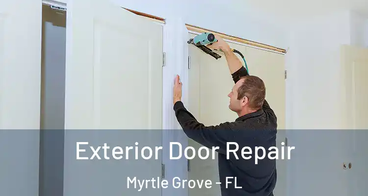 Exterior Door Repair Myrtle Grove - FL