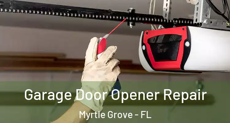 Garage Door Opener Repair Myrtle Grove - FL