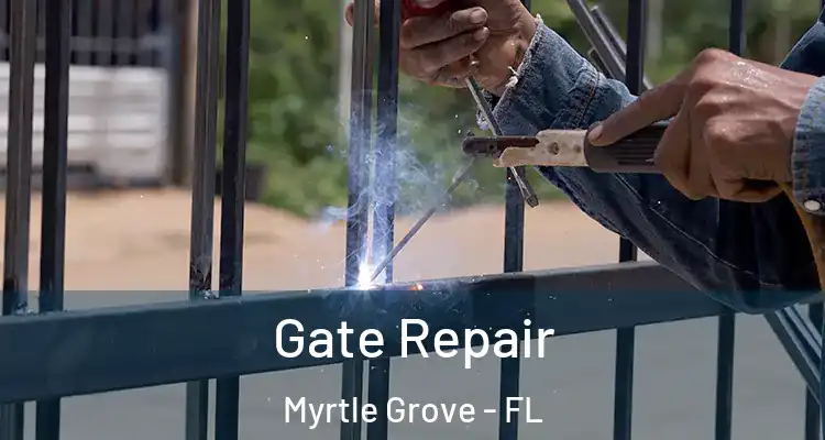 Gate Repair Myrtle Grove - FL