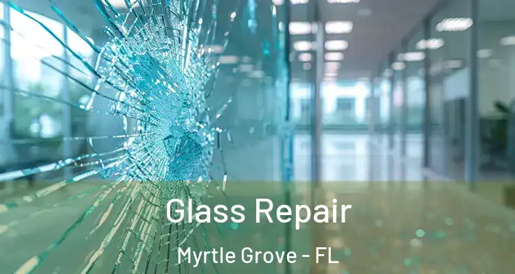Glass Repair Myrtle Grove - FL