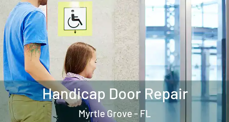 Handicap Door Repair Myrtle Grove - FL
