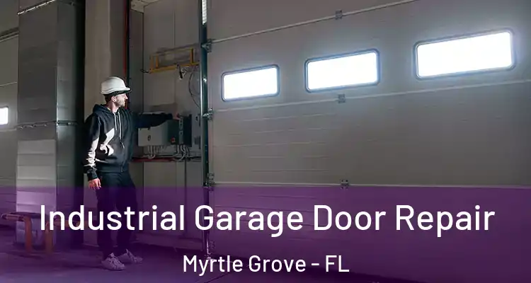 Industrial Garage Door Repair Myrtle Grove - FL