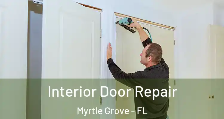 Interior Door Repair Myrtle Grove - FL