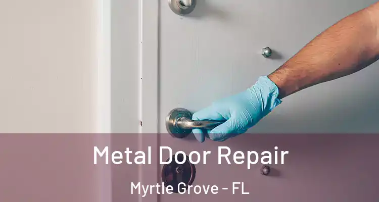 Metal Door Repair Myrtle Grove - FL