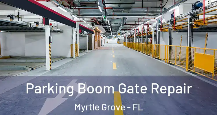 Parking Boom Gate Repair Myrtle Grove - FL