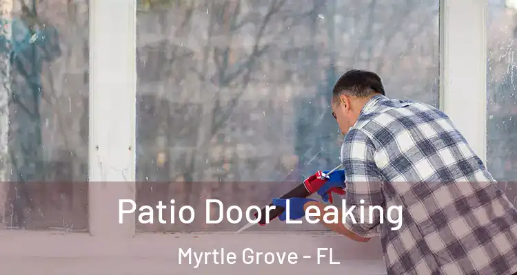Patio Door Leaking Myrtle Grove - FL
