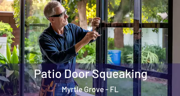 Patio Door Squeaking Myrtle Grove - FL