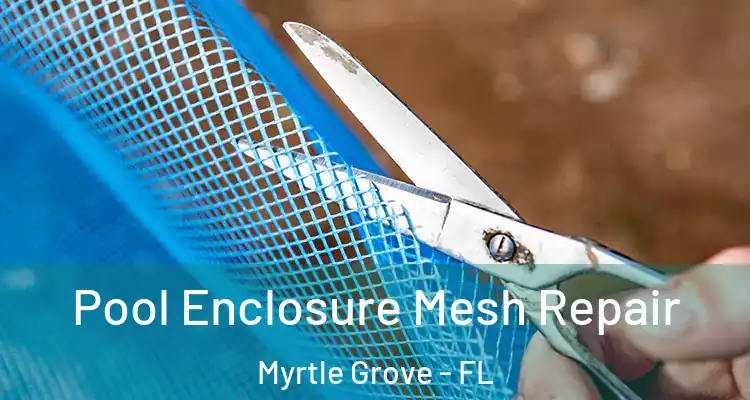Pool Enclosure Mesh Repair Myrtle Grove - FL
