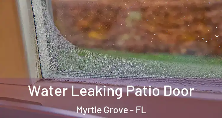 Water Leaking Patio Door Myrtle Grove - FL