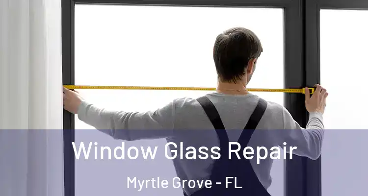 Window Glass Repair Myrtle Grove - FL