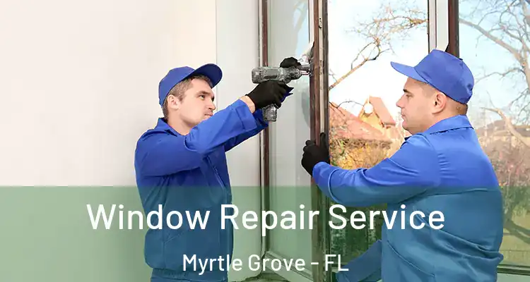 Window Repair Service Myrtle Grove - FL