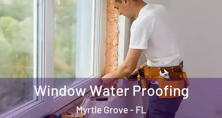 Window Water Proofing Myrtle Grove - FL